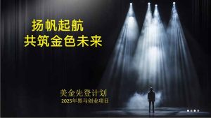 美金对冲创业项目，日收益1000-3000，小众暴力项目稳定运行8年-七量思维