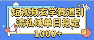 玄学赛道引流私域变现单日稳定1000+教程-七量思维