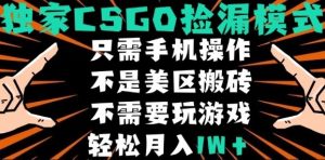 CSGO自动捡漏项目,最新独家玩法,不是美区搬砖,不需要了解和玩游戏,新手小白轻松月入1W+【揭秘】-七量思维