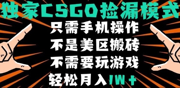CSGO自动捡漏项目，最新独家玩法，不是美区搬砖，不需要了解和玩游戏，新手小白轻松月入1W+【揭秘】-七量思维