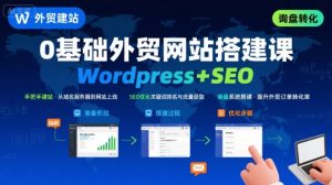 WordPress外贸建站+SEO优化课程，手把手教你从0到1搭建可获得询盘的外贸网站-七量思维