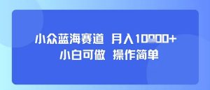 小众蓝海赛道，小白可做，操作简单，每天30分钟，月入1W+-七量思维
