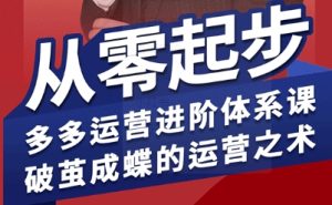 拼多多运营进阶系统课，从零起步，多多运营进阶体系课，破茧成蝶的运营之术-七量思维