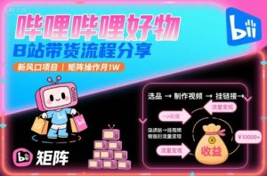 哔哩哔哩好物,B站带货流程分享,新风口项目,矩阵操作月1W-七量思维