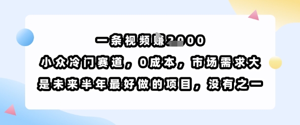 一条视频挣1k，小众冷门赛道，0成本，市场需求大，是未来半年最好做的项目，没有之一-七量思维