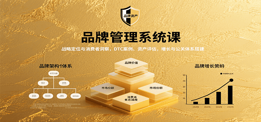 品牌管理系统课：战略定位与消费者洞察，DTC案例、资产评估，增长与公关体系搭建-七量思维