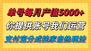 单月产值5000+,支付宝分成代运营,你提供账号坐等分钱,我们帮你运营-七量思维