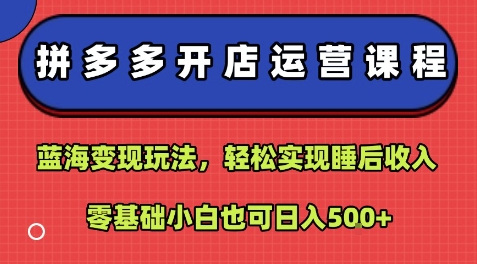 拼多多开店运营课程：蓝海变现玩法，轻松实现睡后收入，零基础小白也可日入5张-七量思维