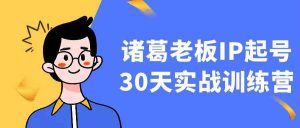诸葛老板IP起号30天实战训练营-七量思维