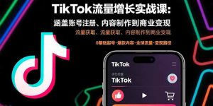 TikTok流量增长实战课：涵盖账号注册、流量获取、内容制作到商业变现-七量思维