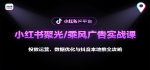 小红书聚光/乘风广告实战课:投放运营、数据优化与抖音本地推全攻略-七量思维