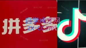 老陶电商·拼多多+抖音小店无货源开店(更新8月)-七量思维