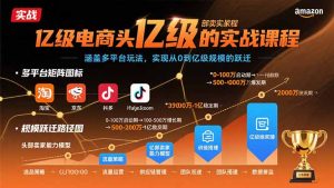 亿级电商头部卖家的实战课程：涵盖多平台玩法，实现从0到亿级规模的跃迁-七量思维