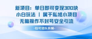 新项目单日即可变现3张的小白玩法无脑操作不封号安全引流-七量思维