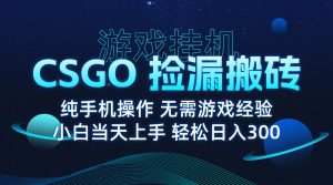 8月最新游戏搬砖,CSGO纯挂机,不需要玩游戏,实现真挂机,月入1W+-七量思维