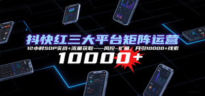 抖快红三大平台矩阵运营,12小时SOP实战+流量获取-风控-扩量,月引10000+线索-七量思维