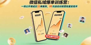 微信私域爆单训练营:一场公开课成交33单案例,99元自动训练营批量变现术-七量思维