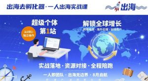 出海去孵化器，一人出海实战课，​超级个体第1站，解锁全球增长-七量思维