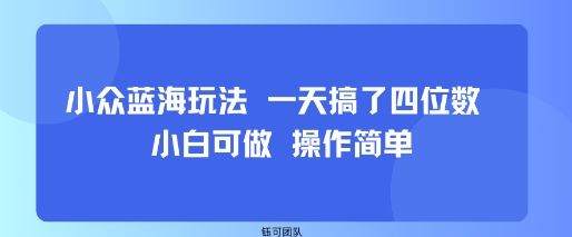小众蓝海玩法 一天搞了四位数 小白可做 操作简单-七量思维