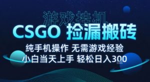 8月最新游戏搬砖,CSGO纯挂G,不需要玩游戏,实现真挂G,月入1W+【揭秘】-七量思维