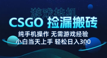 8月最新游戏搬砖，CSGO纯挂G，不需要玩游戏，实现真挂G，月入1W+【揭秘】-七量思维
