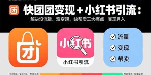 快团团变现+小红书引流：解决没流量、难变现、缺帮卖三大痛点 实现月入3w+-七量思维