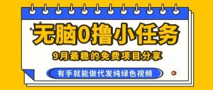 0学费0风险,2025风口项目,无脑免费撸,代发纯绿色视频,一部手机人人可做【揭秘】-七量思维