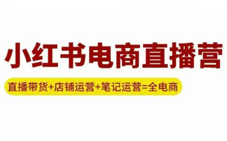 申铭老师·小红书电商直播营(更新)-七量思维
