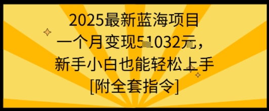 2025最新蓝海项目一个月变现1w+新手小白也能轻松上手【附全套指令】-七量思维