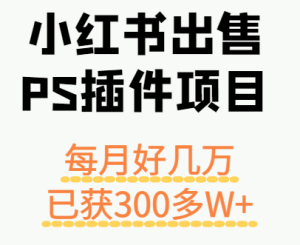 小红书出售PS插件项目，每月都收入好几万，长期操作已获利300多W+-七量思维