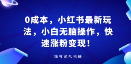 0成本，小红书最新玩法，小白无脑操作，快速涨粉变现-七量思维