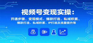 视频号变现实操，含开通步骤、变现模式、爆款打造、私域积累、IP打造及流量提升等-七量思维