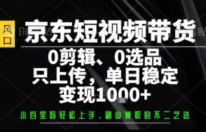 你出账号，我来运营，保底日入1k+，开启躺賺模式【揭秘】-七量思维