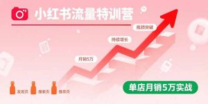 小红书流量特训营:突破流量瓶颈,实现店铺持续增长,单店月销5万实战-七量思维