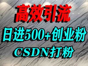 怎么打创业粉？CSDN又一个你不知道的打粉引流神秘平台，单人日引500+精准流量-七量思维