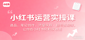 小红书运营实操课:选品、笔记创作、流量获取、起号变现等,让你在小红书轻松获收益-七量思维