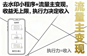 去水印小程序+流量主变现,收益无上限,执行力决定收入-七量思维