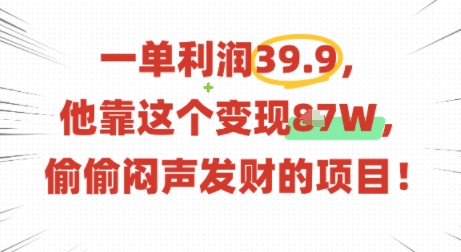一单利润39.9，有人靠这个变现几十个，偷偷闷声发财的项目-七量思维