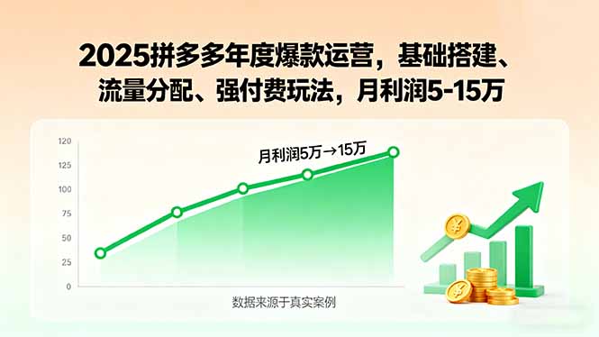2025拼多多年度爆款运营，基础搭建、流量分配、强付费玩法，月利润5-15万-七量思维