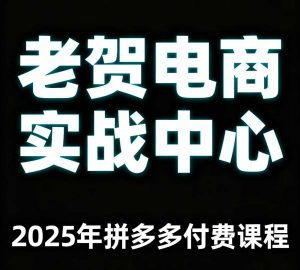 老贺电商2025年拼多多付费课程，用通俗易懂的方法告诉你多多怎么玩-七量思维