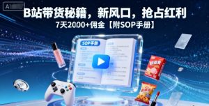 B站带货秘籍，新风口，抢占红利，7天2k+佣金【附SOP手册】-七量思维