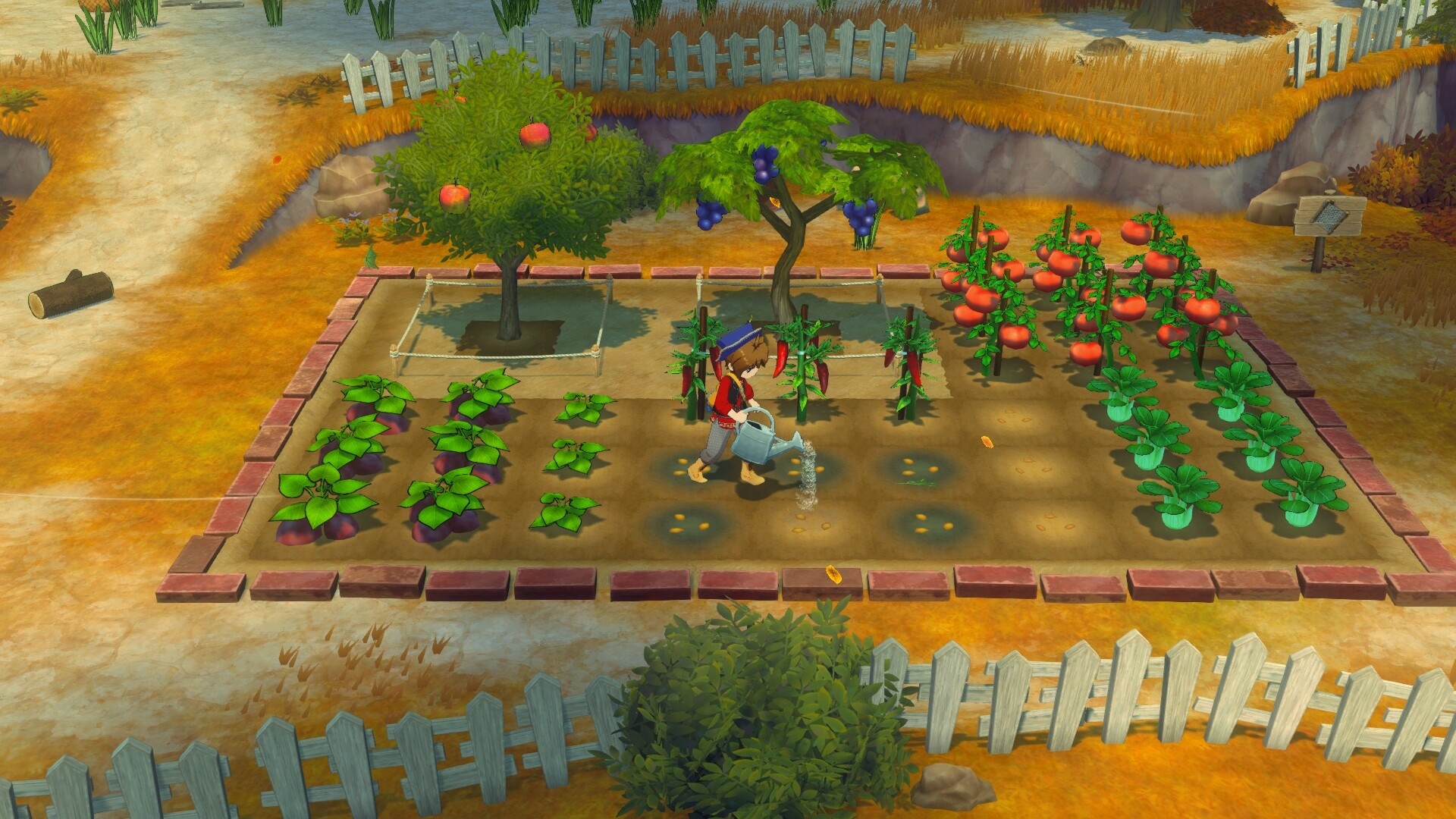 《牧场物语 来吧！风之繁华集市》v1.0.4中文版-七量思维