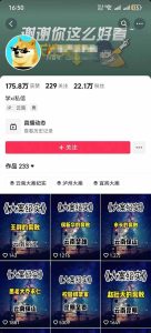 【精】AI大案纪实短视频制作课,文案生成+剪辑教学+伙伴计划,单条收益7-10元-七量思维
