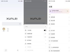 安卓迅雷浏览器v2.8.0.9032纯净版-七量思维
