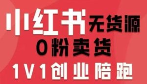 小红书无货源0粉电商课,开店准备、选品策略、笔记撰写、视频剪辑、数据分析、账号打造、资料文档-七量思维