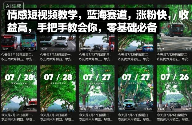 情感短视频教学，蓝海赛道，涨粉快，收益高，手把手教会你，零基础必备-七量思维