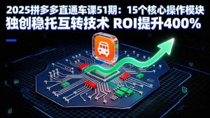 2025拼多多直通车课51期：15个核心操作模块 独创稳托互转技术 ROI提升400%-七量思维