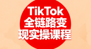 小杨老师·TikTok全链路变现实操课程-七量思维