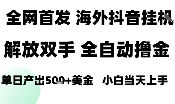 海外抖音无人直播，单日产出1.5k+，长期稳定，新手可玩，无脑操作【揭秘】-七量思维