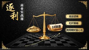 《逐 利》商业实战课，底层逻辑、杠杆策略、18锦囊，跨周期财富心法-七量思维
